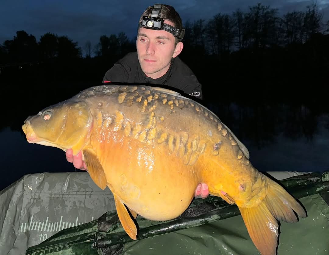 Pêche à la carpe - 1 personne (24h)